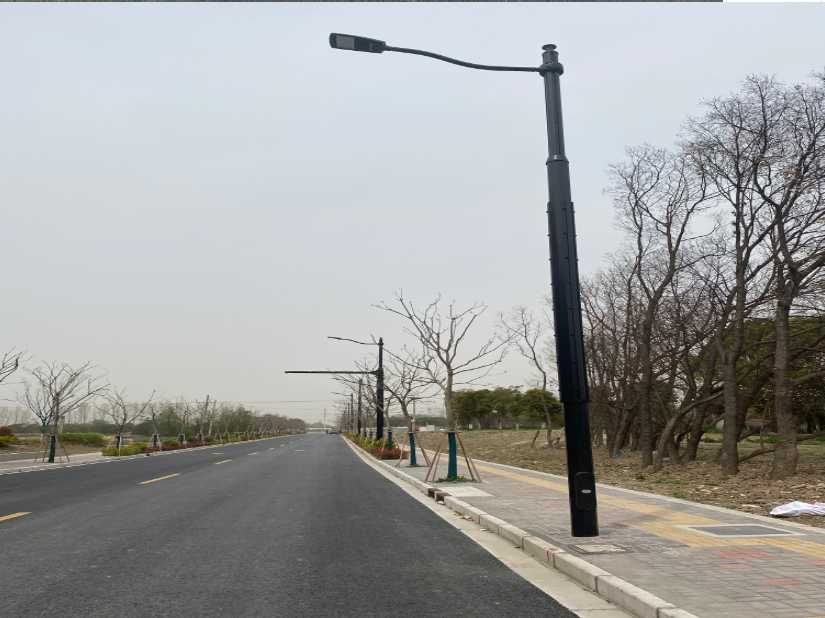 泰来县上海综合杆 太阳能路灯工程